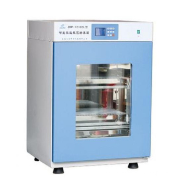 Buy Digital Laboratory Shaking Incubator